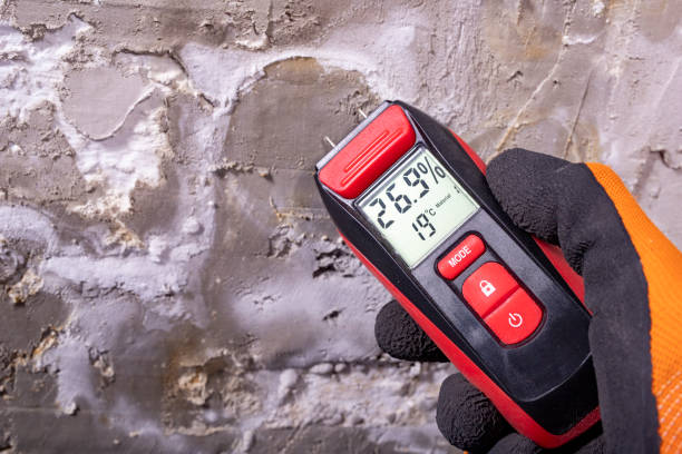 Best Attic Mold Removal  in Rkside, PA