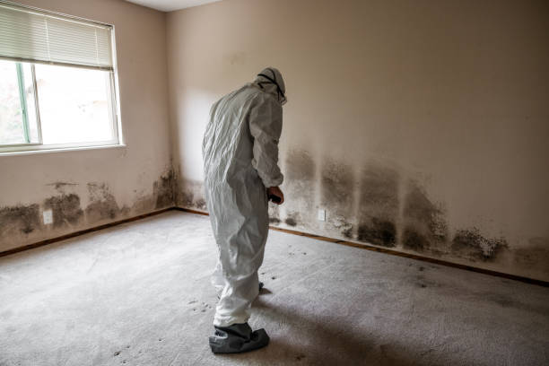 Best Mold Remediation Services  in Rkside, PA